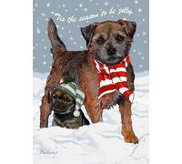 Border Terrier Christmas Cards : 10 Holiday Cards with Red Envelopes - ADORABLE!