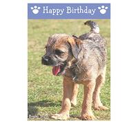 Border Terrier, Dog Birthday Card