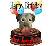 Border Terrier Dog cake REAL Googly Eyes A5 Birthday Day Greeting Card Codewa1