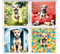 Border Terrier Dog Coaster Set. 4 different Border Terrier Dog Pictures on 10cm x 10cm Acrylic Coasters. Boxed Coaster Drip Mat Set.