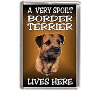 Border Terrier Dog Fridge Magnet "A Very Spoilt Border Terrier Lives HERE"