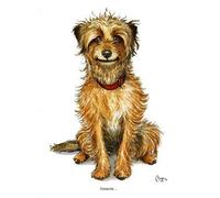Border Terrier Dog Greeting Card. Innocent by Bryn Parry