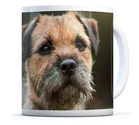 Border Terrier - Drinks Mug Cup Kitchen Birthday Office Fun #15940