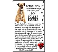 Border Terrier Lover (I Learned from my Border Terrier) Gift - Large Fun flexible Fridge Magnet- size 16cms x 10 cms (approx. 6" x4")