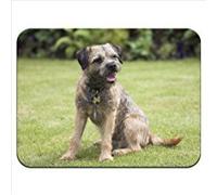 Border Terrier Premium Quality Thick Rubber Mouse Mat Pad Soft Comfort Feel Finish