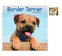 Border Terrier Puppies Mini Calendar 2026 + FSC ECO-FRIENDLY DIARY