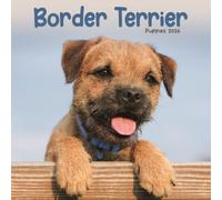 Border Terrier Puppies Square Mini Calen