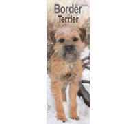 Border Terrier Slim