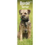 Border Terrier Slim 2025 Slimline Wall Calendar | Dog Breed Calendar