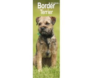 Border Terrier Slim 2025 Slimline Wall Calendar | Dog Breed Calendar