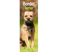 Border Terrier Slim 2026 Calendar | Slimline Wall Calendar | Dog Breed Gift | Plastic Free Packaging | by Avonside Publishing