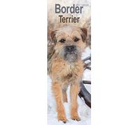 Border Terrier Slim 2027 Calendar | Slimline Wall Calendar | Dog Breed Gift | Plastic Free Packaging | by Avonside Publishing