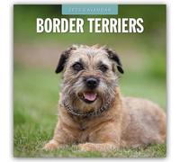 Border Terriers 2025 Square Wall Calendar