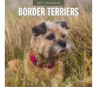 Border Terriers - 2027 Square Wall Calendar - by Red Robin Publishing