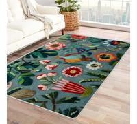 Bordered Outdoor Rug 8x10 Flower and bird patterns Washable Outside Carpet for Indoor Patio Porch Waterproof Easy Cleaning Non Shedding Area Rugs,living room(polychrome)-90x120cm