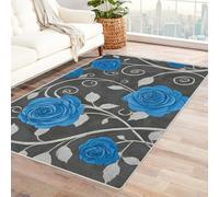 Bordered Outdoor Rug 8x10 Spiral pattern rose Washable Outside Carpet for Indoor Patio Porch Waterproof Easy Cleaning Non Shedding Area Rugs,living room(blue)-210x270cm