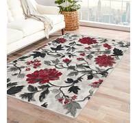 Bordered Outdoor Rug 8x10 Vintage floral pattern Washable Outside Carpet for Indoor Patio Porch Waterproof Easy Cleaning Non Shedding Area Rugs,living room(red)-210x270cm