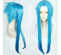 Borderlands 3 Maya Cosplay Wigs Blue Long High-temperature Fiber Synthetic Hair Wig Pelucas One Size Maya