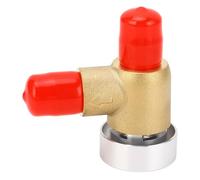 BORDSTRACT RV Check Valve | 1/2 NPT 1Pc | Brass Golden | Vacuum Breaker Fitting | Backflow Preventer | For Rv Motorhome Trailer Black Tank Flush