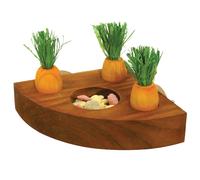 Boredom Break Carrot Toy & Treat Holder