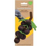 Boredom Breaker Grape 'n' Gnaw for Small Animals - Single - 17cm