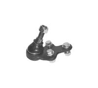 Borg & Beck BBJ5536 Ball Joint Lower L/R To Fit Ford Focus Volvo C30 S40 03-