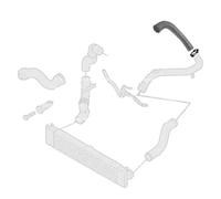 Borg & Beck BTH1025 Turbo Hose To Fit Fiat Ducato III 3 0 JTD 06-