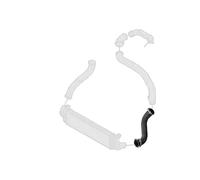Borg & Beck BTH1296 Turbo Hose To Fit Ford Focus 1 6TDCI 04-