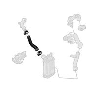 BORG & BECK BTH1516 Charger intake hose