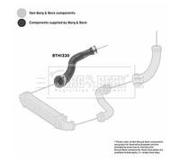 BORG & BECK BTH1330 Charger intake hose