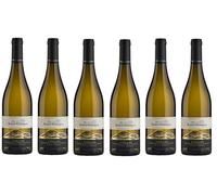 Borgo Conventi Pinot Grigio Collio (Case of 6)