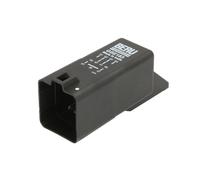 BorgWarner (BERU) Control device warm-up time