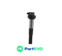 BORGWARNER (BERU) IGNITION COIL ZS386