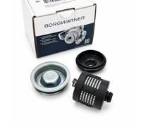 BorgWarner Hydraulic Filter Haldex Clutch for VW Audi Seat Skoda 02D598574