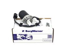BorgWarner Pre-Load Pump DS118613 for Audi Seat Skoda VW 0AV598549 0AV598549A
