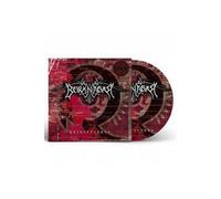 Borknagar - Quintessence Ltd. - Picture Vinyl