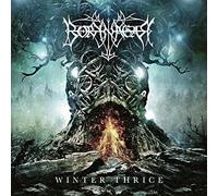 Borknagar Winter thrice LP coloured Onesize