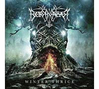 Borknagar Winter thrice LP coloured Onesize