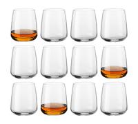 Bormioli Rocco Nexo Glass Tumblers - 360ml - Pack of 12 in Clear Bormioli Rocco Clear