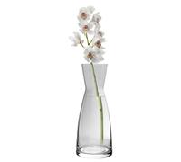 Bormioli Rocco Ypsilon Glass Carafe - 285ml in Clear Bormioli Rocco Clear