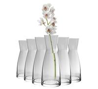 Bormioli Rocco Ypsilon Glass Carafes - 285ml - Pack of 6 in Clear Bormioli Rocco Clear