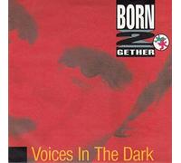 Born 2gether - Voices In The Dark [Vinyl Single]