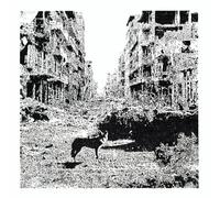 Born Bad Records - Vox Low - Keep on Falling LP RELEASE DATE 01/09/23 T - P4z