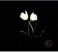 Born for Bliss - Innocent -Ep-