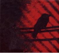 Thee Silver Mt Zion Memorial Orchestra - Born Into Trouble As The Sparks Fly Upward [VINYL]