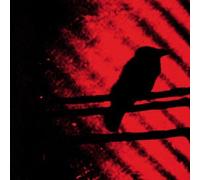 BORN INTO TROUBLE AS THE SPARKS FLY UPWARD