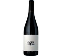 Born of Fire Syrah Organic 2024 - Sophie Schaal