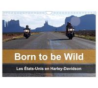 Born to be wild - Les États-Unis en Harley-Davidson (Calendrier mural 2027 DIN A4 vertical), CALVENDO calendrier mensuel: Les magnifiques paysages du Sud-Ouest américain vus de la selle d'une Harley