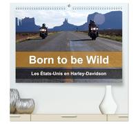 Born to be wild - Les États-Unis en Harley-Davidson (Calendrier mural haut de gamme 2027 DIN A2 vertical), CALVENDO calendrier mensuel: Les ... américain vus de la selle d'une Harley