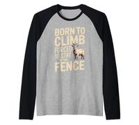 Born to Climb Forced to Stay in The Fence Raglan Baseball Tee
